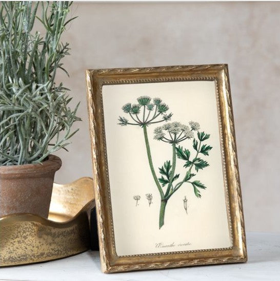 Gold Twist 5x7 Photo Frame