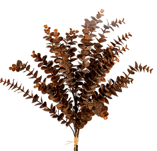 25" Eucalyptus Bundle Brown | Faux Copper Fall Stems